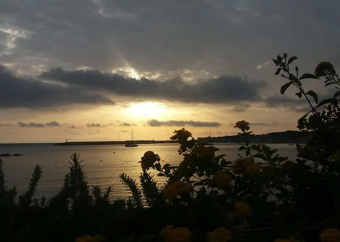 Bed & Breakfast Lilium