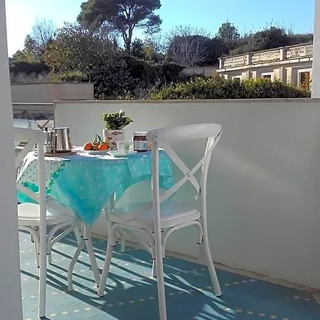 Lilium 3*