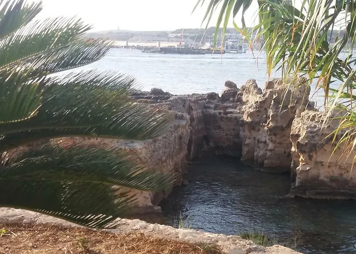 Lilium Отранто