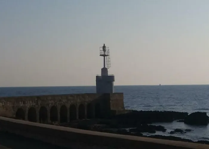 Lilium Отель типа 