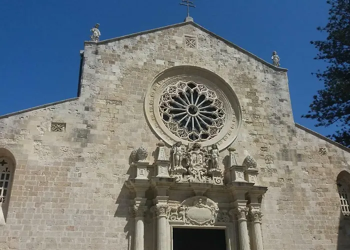 Lilium Отель типа 